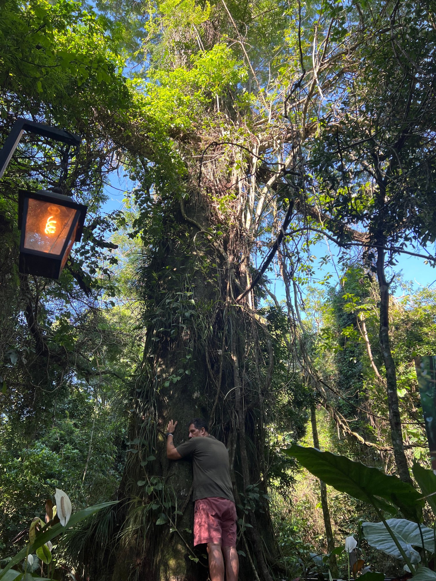 La Reserva Virgin Lodge-官方