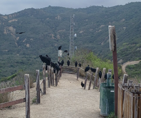 Lighthouse San Lorenzo-San Lorenzo必去景点
