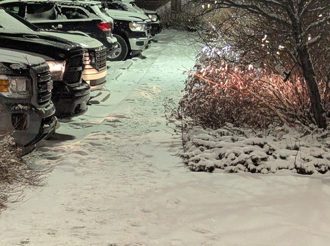 Best Western Plus Okotoks Inn & Suites主图