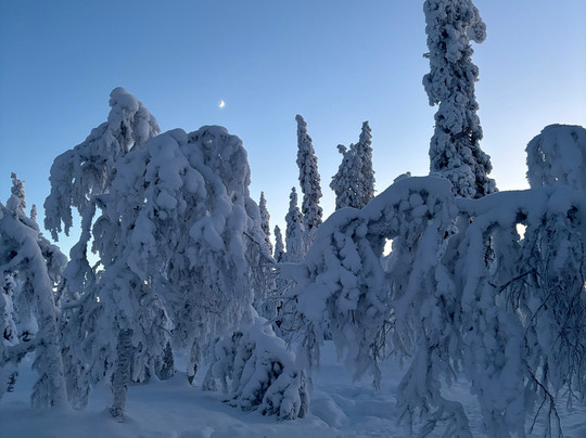 拉普兰之旅-撒利塞卡必去景点