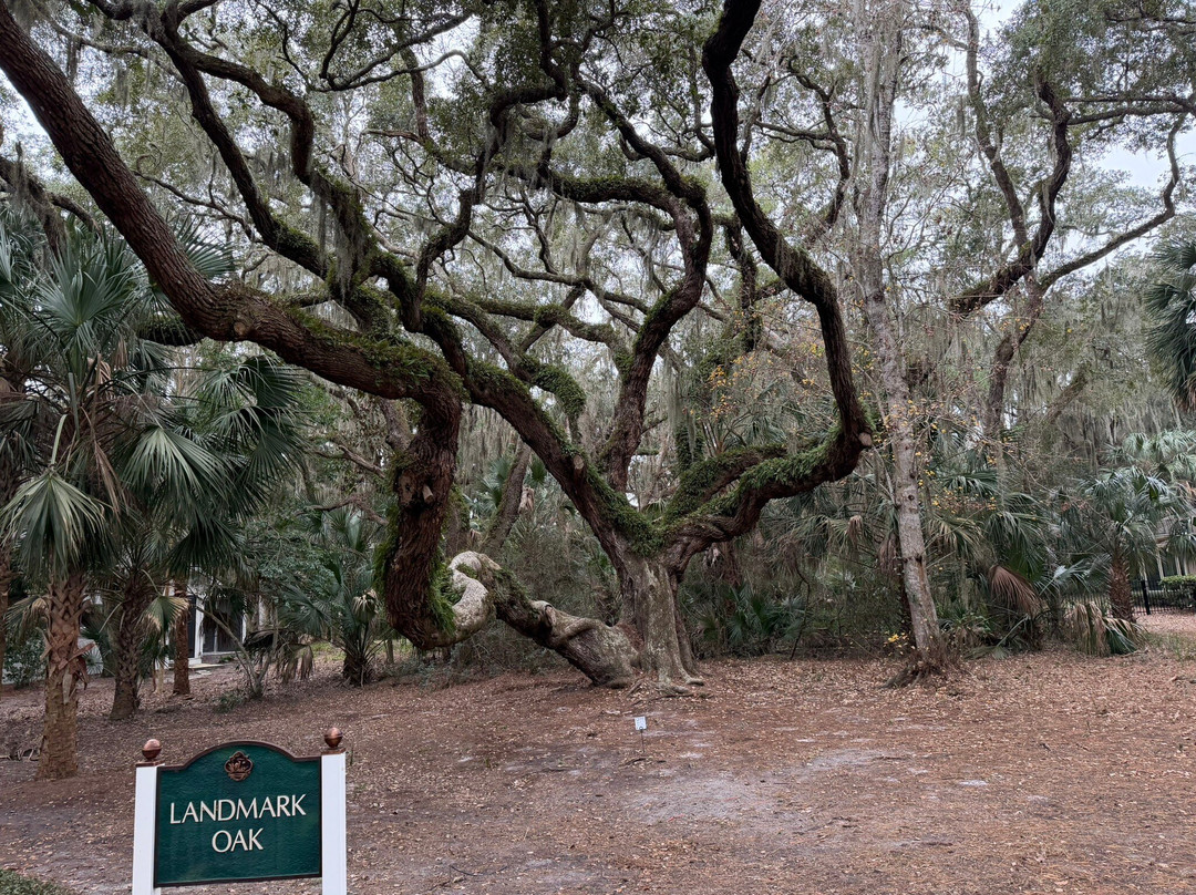 Amelia's Wheels-阿米莉亚岛必去景点