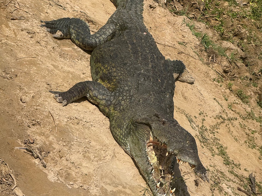 Nkuringo Safaris-布恩迪难以穿越的国家公园必去景点