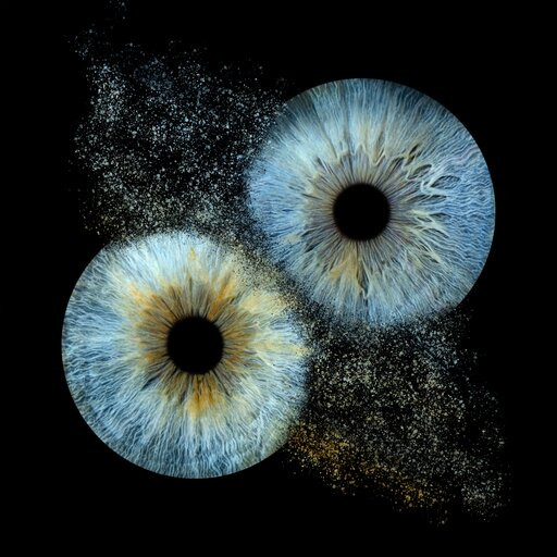 Iris Galerie Utrecht-乌特勒支必去景点