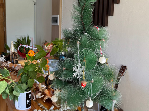 Island Vista Thoddoo