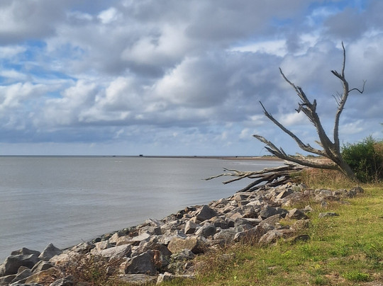 Termas Marinas-圣克莱门特雷图尤必去景点