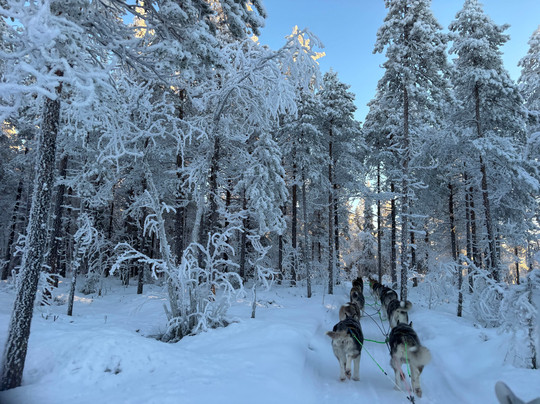 Openlappland-Amsele必去景点