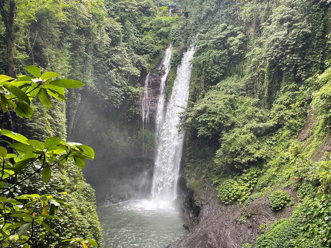 Guide Francais BALI ( Yanik FBALI)-乌布必去景点