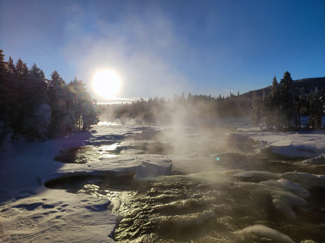 Openlappland-Amsele必去景点