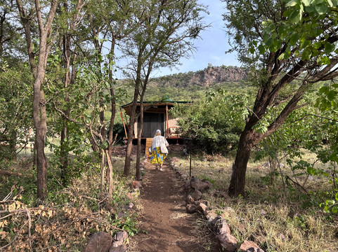 Mbuni Tented Camps-Seronera必去景点