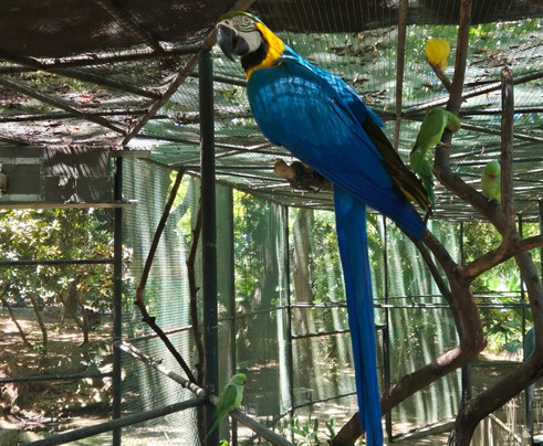 Coquille Bonheur Ltd.-博巴森-荷津必去景点