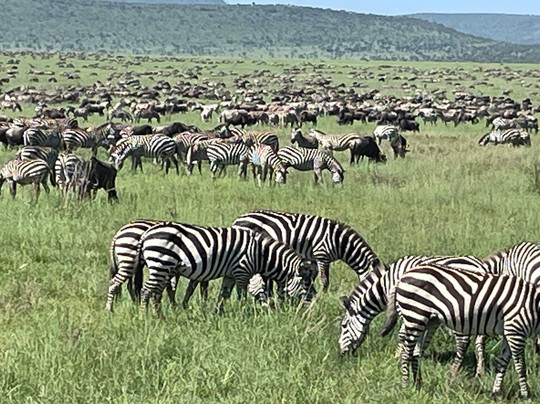 Trek Africa Expeditions-Lyamutundwe必去景点