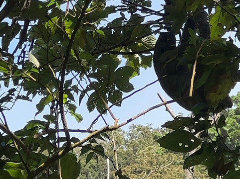 Maleku Tours-利比里亚必去景点