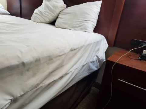 舒适套房酒店布鲁克- 沃斯堡西南-客卧