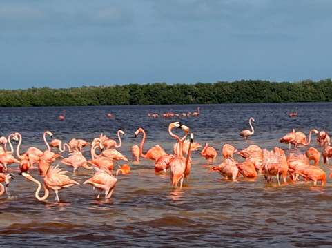 MexiGo Tours-巴利亚多利德必去景点