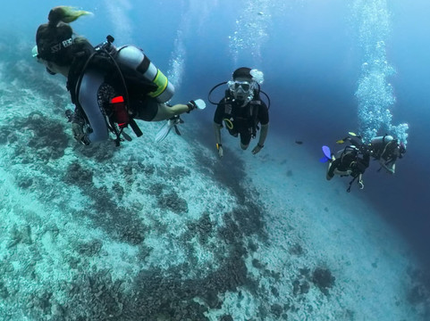 Jerrys Dive Club Rasdhoo-拉斯胡必去景点