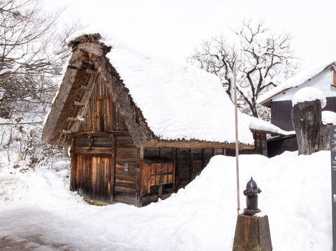 Shirakawago-白川村必去景点