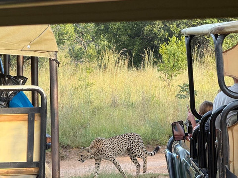 Loisico Tours and Excursions-Bloubergstrand必去景点