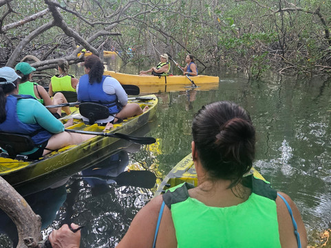 Ecomar Boipeba Ecoturismo Marinho-Ilha de Boipeba必去景点