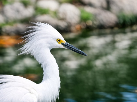 拉文塔博物馆公园-Villahermosa必去景点