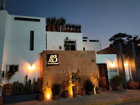 Casa Aceves & Bueno Hotel Boutique