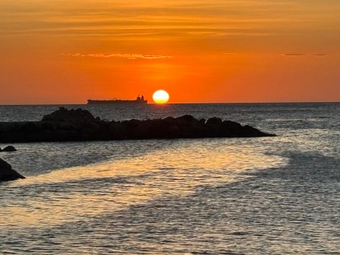 狮子海滩度假村-泳池