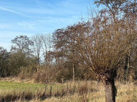 Baafjespolder en Sammerspolder-Heiloo必去景点