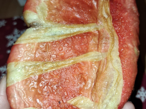 Bar Pasticceria Cinque Sensi