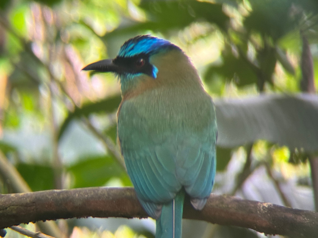 Brother's Adventures Tours-萨迪纳尔必去景点