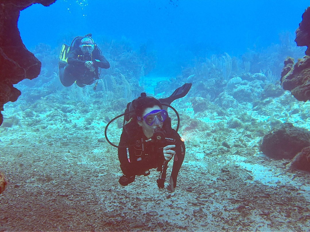 Epic Divers Grand Cayman Cayman Islands-大开曼岛必去景点