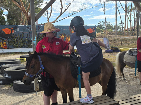 Animal Land Children's Farm-Diggers Rest必去景点