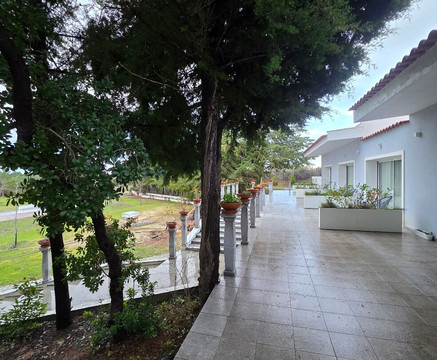 罗斯曼尼奥酒店主图