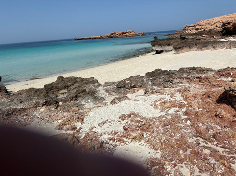 Daymaniat Shells-马斯喀特必去景点