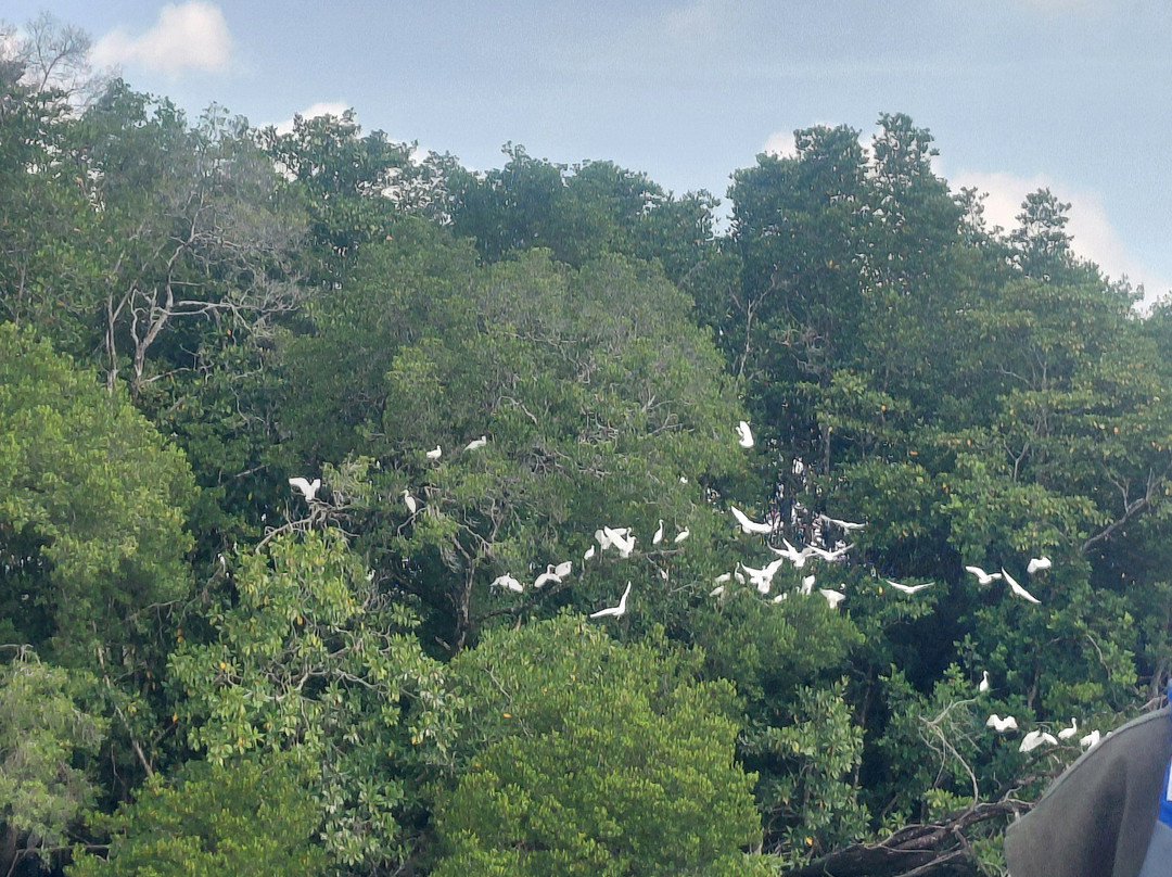 JungleWalla Desaru-本那瓦镇必去景点