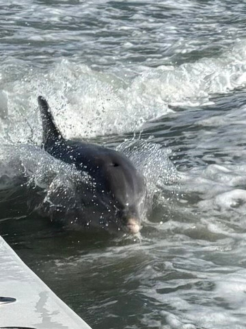 Native Guided Fishing-Goodland必去景点