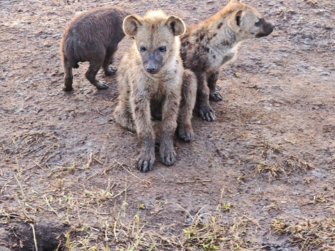safari soles tours-阿鲁沙必去景点