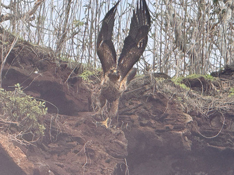 Metropolitan Touring-基多必去景点