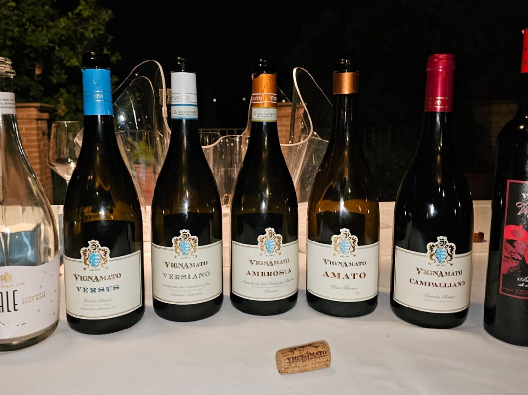 Azienda Agricola Vignamato-San Paolo di Jesi必去景点