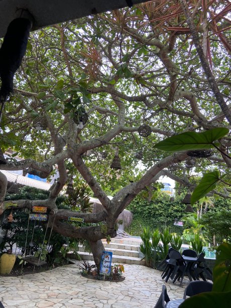 永葆优雅宾馆-官方