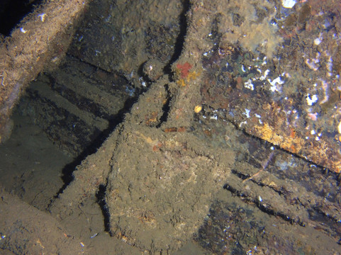 Pacific Dive-卢甘维尔必去景点