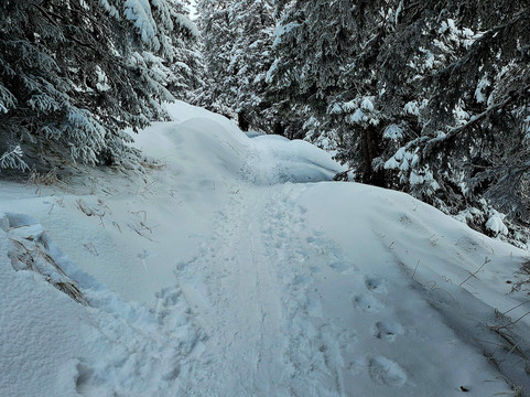 Tegelbergbahn-施万高必去景点