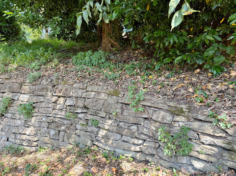 Mure Etrusche-菲耶索莱必去景点