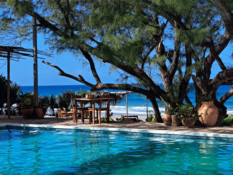 Liquid Dive Adventures-托佛必去景点