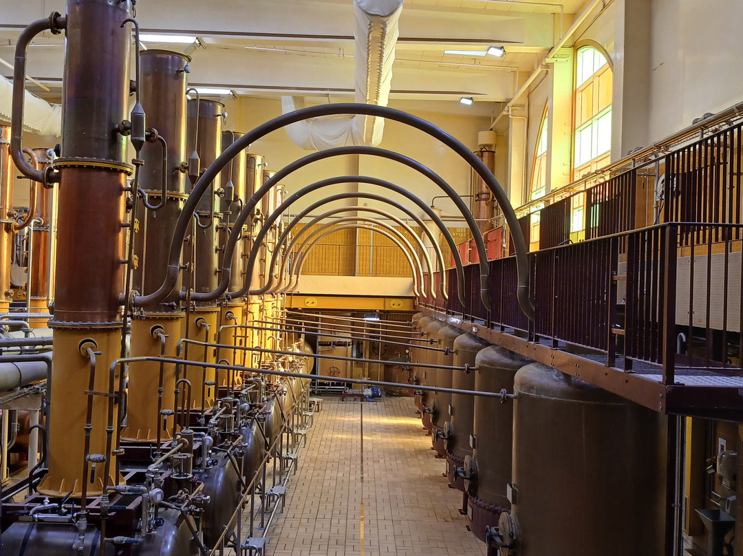 Distillerie Carre Cointreau-Saint-Barthelemy-d'Anjou必去景点