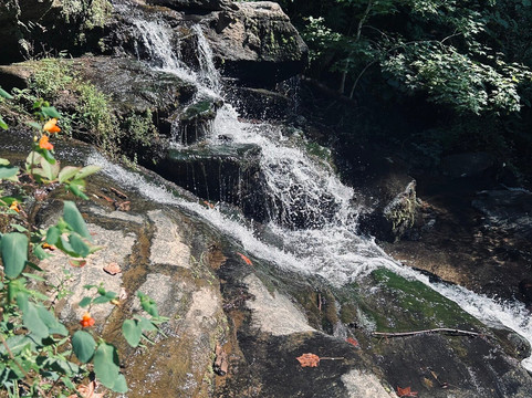 Stumphouse Mountain Tunnel-Walhalla必去景点