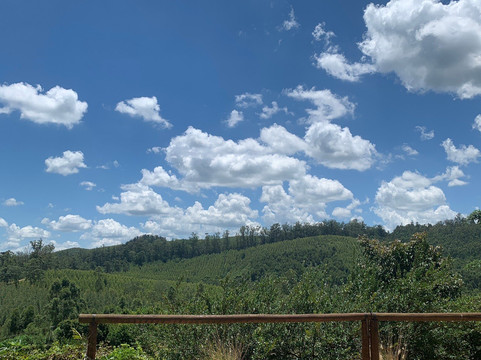 Vinícola Ifanger-维涅杜必去景点