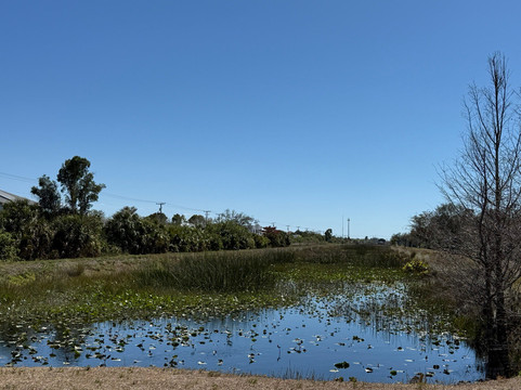John Yarbrough Linear Park-迈尔斯堡必去景点