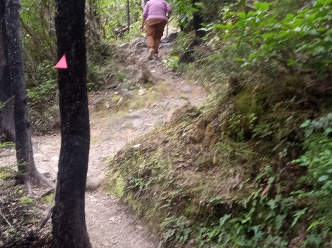 Dog Stream Walkway-汉默温泉必去景点