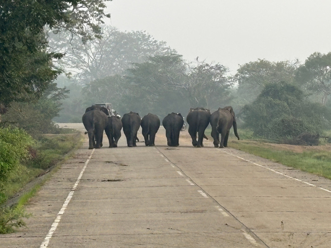 Wonderful Trip by DiDi-科伦坡必去景点