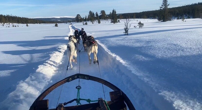 The Howling Dog Farm-Vemdalen必去景点