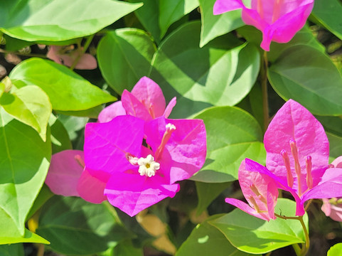 保格别墅酒店主图